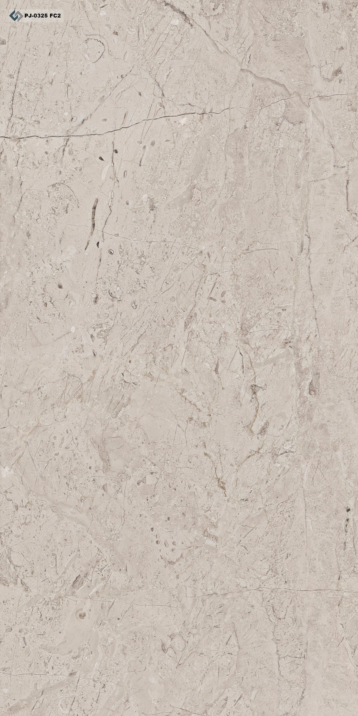 PJ - 0325 Marmore Crema Fossile - 4 Faces - 80x160cm